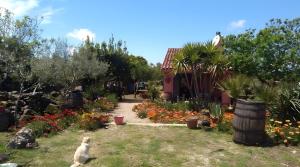 Villa Anna con giardino