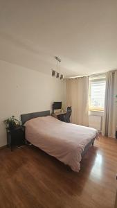 Comfortable apartment in the heart of Żabiniec