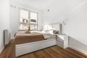 Stylowe gniazdko w samym Centrum