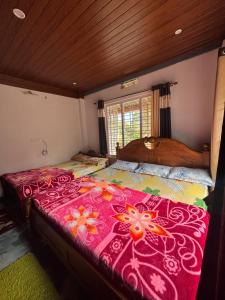 Hillview nest home stay