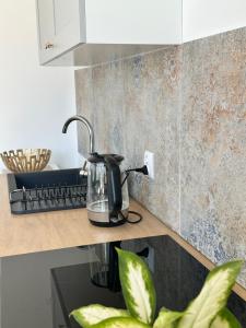 Apartament nad Jeziorem Drwęckim