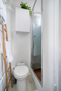 Terrace And Comfort – Austerlitz