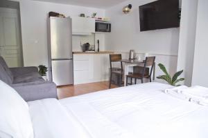 Nice renovated AC studio in Saint Germain