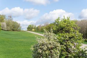 Apartment mit Gartenblick K1 206