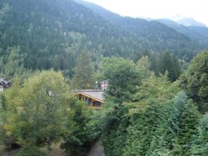 appartement cosy ambiance chalet, 3mn du centre