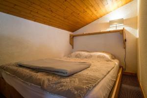 appartement cosy ambiance chalet, 3mn du centre
