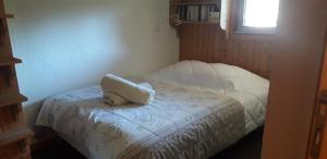appartement cosy ambiance chalet, 3mn du centre
