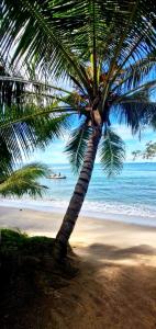 De BOUGENVILLE Tulap Beach Front