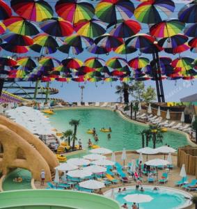 Stay here Дом у моря в аркадии