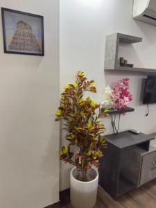 Urban Studio Malviya Nagar