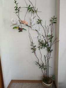 Tucan Apartment
