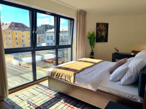 Klement Apartment - 150m Škoda Muzeum - 2 Bedroom