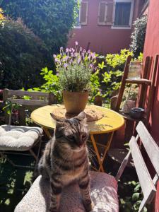 Il Pettirosso B&B