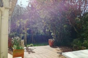 Beautiful house facing the alder wood and beach