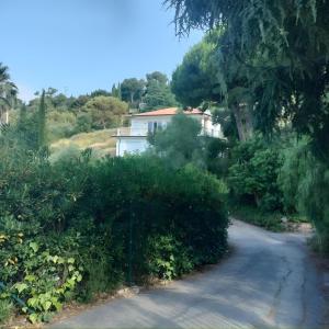Villa Casablanca