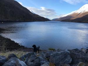 West Highland Nest- Kinlochleven