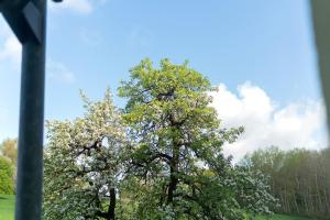 Apartment mit Gartenblick K1 106
