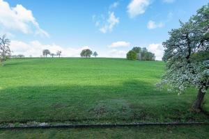 Apartment mit Gartenblick K1 106