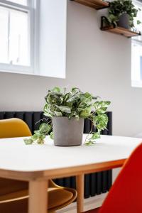 Cosy Studio near Marylebone Station