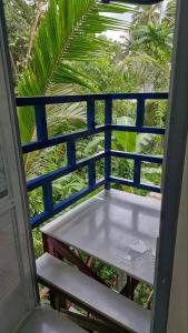 Mango Tree view 5