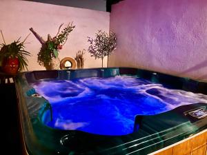 Villa 110m2, 7 pers, Jacuzzi , 3 chambres, terrain clos et arboré 2500m2