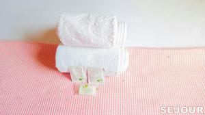 5 min de Paris 10 min du Zénith et Grande Halle