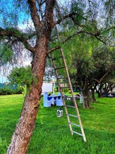 la Mala Fede di Lela