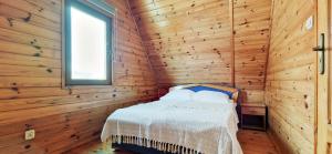 Domki Letniskowe Karolina