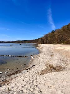 Strand 5 min - Ferienhaus Feldlerche auf Usedom