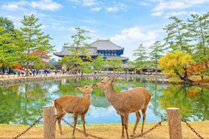 Staylinks Nara Kitamachi