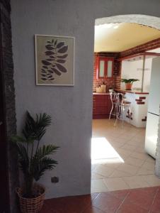 apartamenty Lavenda