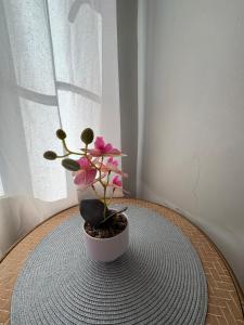 Cozy 2BR Vacation House 3mins to Dahican Beach