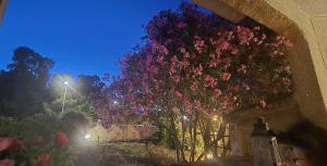 Benvenuti a Villa Luna