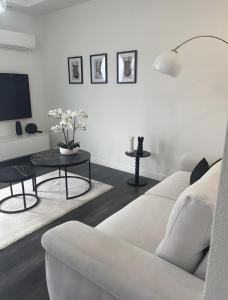 Black and White Apartment img8