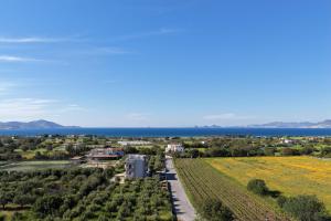 Aurelea Luxury Apartments