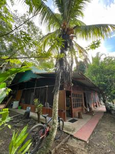 Coco house tambopata