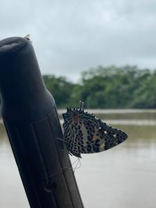 Coco house tambopata