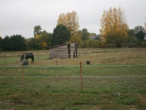B&B / Chambres d'hotes Chez Elisa : photos des chambres