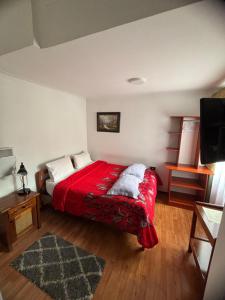 Hostal San Martín SPA
