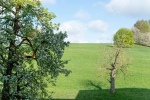 Apartment mit Gartenblick K1 101