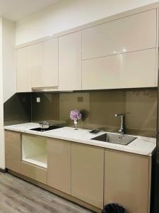 An Bình Homes - Vinhomes Ocean Park - R102