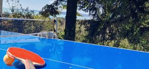 Mirador Balaton design Villa