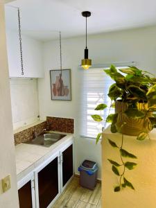 Beautiful Bungalow in Las Galeras