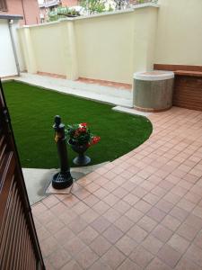 Il bosso