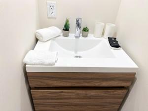 Cozy Studio Urban Escape in Mexico