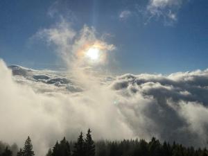 Appartamento Il nido