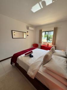Casa Julio-Rooftop Terrace & Pool 5 Min to Beach