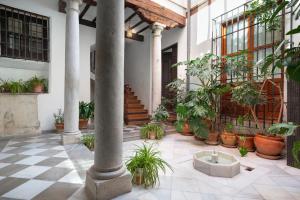 Charming Spacious Albayzin Apartment