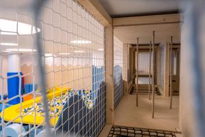 Bursztynowy - jacuzzi, sauny, sala zabaw, garaż, 400m do plaży płaskie zejście