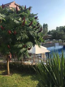Sunny Hills 2 bdr apartment